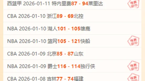 恩佐与马雷斯卡在切尔西未来规划中占据关键位置——罗马诺观点